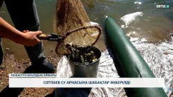 Fish were released into the Satpayev water channel