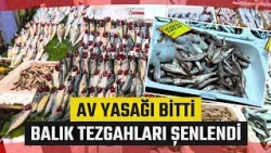 Fishing Ban Lifted, Fishing Season Begins in Istanbul: Fish Have Arrived at the Stalls