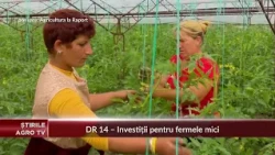 DR 14 – Investments for small farms 10/01/2026