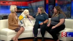 Nyberg: UConn raises next generation of service dogs