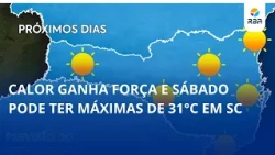 Heat gains strength and Saturday could see highs of 31°C in SC