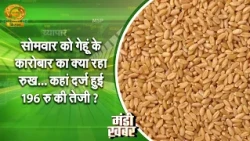 Mandi Khabar: ₹196 surge in wheat trading! What was the wheat price on Monday? | Mandi Bhav