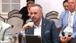 Babafaparkot létesítenek az Aradi téren