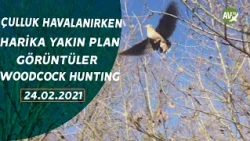 WOODCOCK HUNTING TEAM NERAS KAYNARCA ÇULLUK AVI