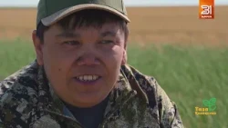 Saiga: Conflict on the Steppe. Documentary Film