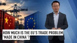 How much is the EU's trade problem 'made in China'?