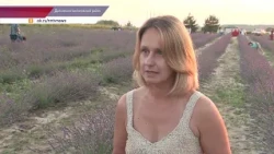 Нижегородский прованс образовался неподалеку от деревни Зубаниха
