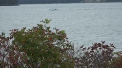 Mount Desert woman and 2 grandchildren found dead in submerged vehicle in Roque Bluffs