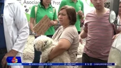 Predisposición genética podría generar agresividad en algunos perros
