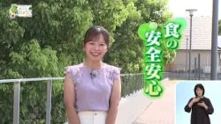 ★放送同時配信★ひょうご発信 第377回（2026年9月20日OA）