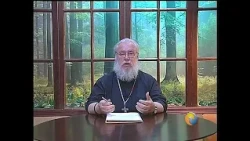 25 Cartas al director
