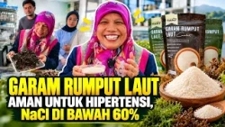 SUKA ASIN TAPI TAKUT DARAH TINGGI? GURU BESAR IPB BUAT GARAM DARI RUMPUT LAUT