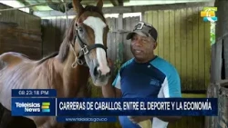 #TeleislasNews I 'Economía Isleña' Carreras de caballos, entre el deporte y la economía.