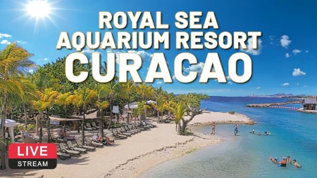 Royal Sea Aquarium Resort - Curacao