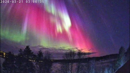 Posio - Lapland - Northern Lights & Sky Cam